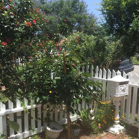 1118 Postoffice Street Διαμέρισμα Γκάλβεστον Εξωτερικό φωτογραφία